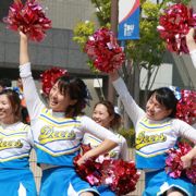 写真5