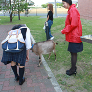 写真8