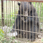 研究内容紹介