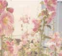 �p���t���b�g