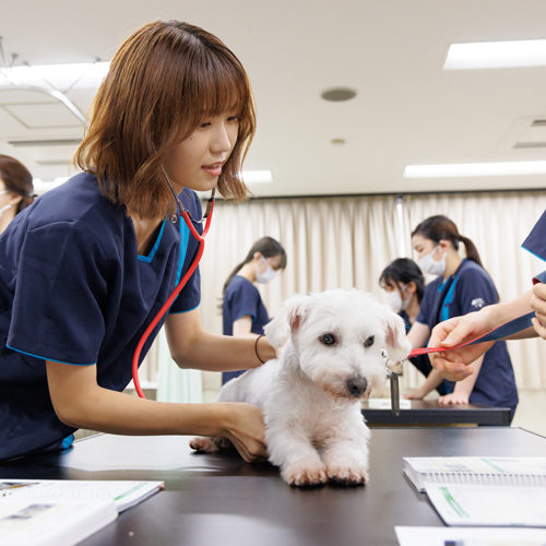 名古屋動物専門学校のオープンキャンパス