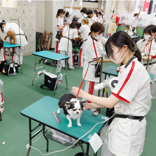 横浜動物専門学校のオープンキャンパス