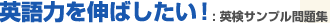 �p��͂�L�΂�����