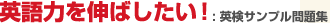 英語力を伸ばしたい
