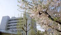 清風高等学校