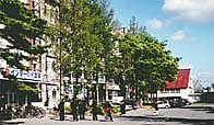 酒田東高等学校