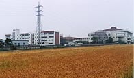 常磐高等学校
