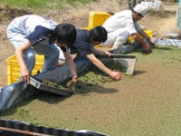 yoki_kou_image01