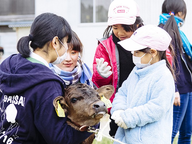 日本獣医生命科学大学のクラブ活動