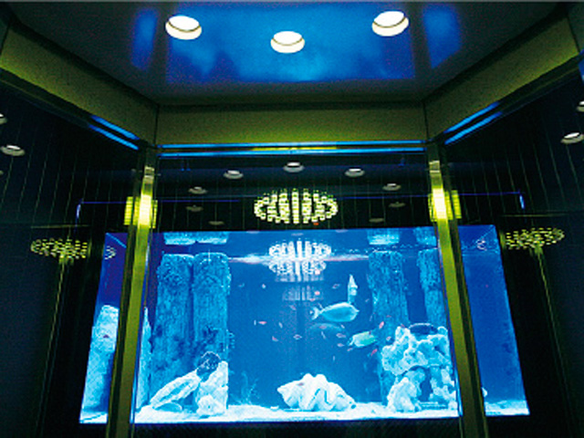 C館エレベーター：地下の熱帯魚の水槽で癒されます。
