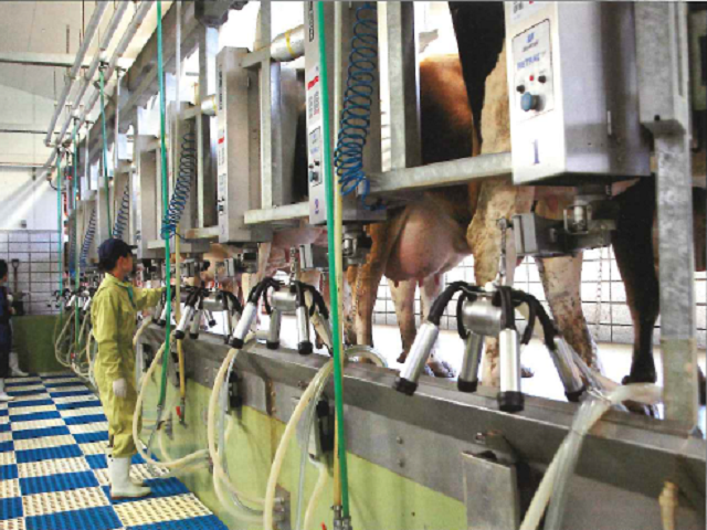 循環農法に基づく先進システムを導入し、酪農生産を実践した酪農生産ステーション。先進的なインテリジェント牛舎は毎年多くの酪農関係者が見学に訪れます