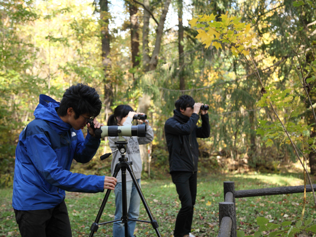 ●光風園【札幌キャンパス】学内に存在する自然林で、「生態学実習」等、生物学科のフィールドワークに利用されています。