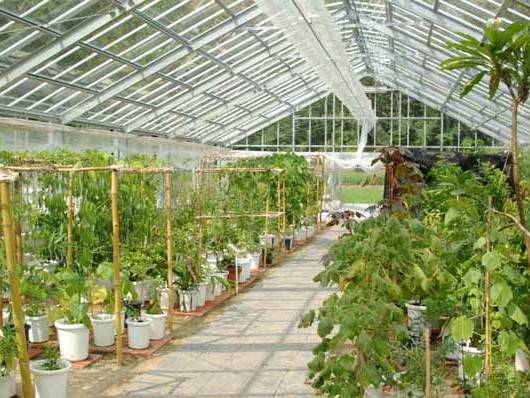 【池田キャンパス】薬用植物園。漢方薬学教育に対応した大規模な植物園。東洋医学の視点から、薬草の研究に取り組みます。