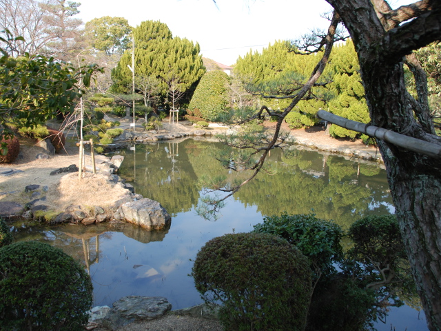 ■日本庭園　　学内には日本庭園もあり、季節ごとの景色を楽しむことができます。