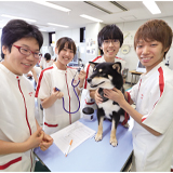動物看護コース