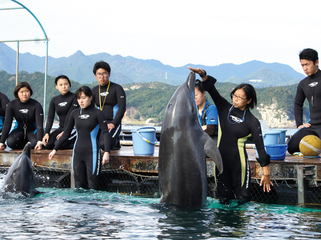 ＴＣＡ東京ＥＣＯ動物海洋専門学校のオープンキャンパス