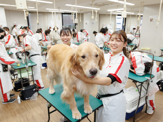 横浜動物専門学校のオープンキャンパス