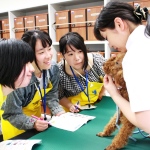 ヤマザキ動物専門学校のオープンキャンパス