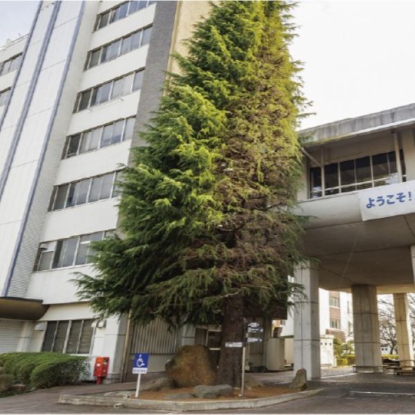足利大学のオープンキャンパス