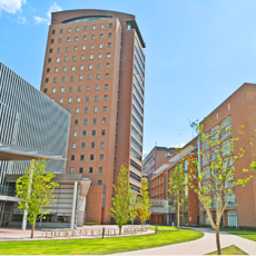 和洋女子大学 説明会 オープンキャンパス情報 進学情報は日本の学校