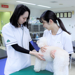 大宮国際動物専門学校 全学科体験 日本の学校