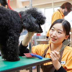 大宮国際動物専門学校 学科別体験 日本の学校