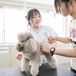 中央動物専門学校のオープンキャンパス