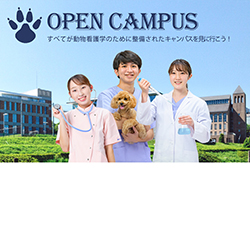 ヤマザキ動物看護大学のオープンキャンパス