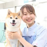 ヤマザキ動物看護大学のオープンキャンパス