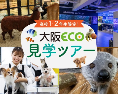 大阪ｅｃｏ動物海洋専門学校 高校1 2年生限定 大阪eco見学ツアー 日本の学校