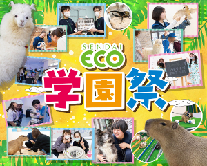 仙台ＥＣＯ動物海洋専門学校のオープンキャンパス