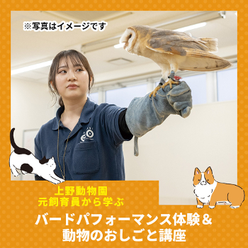 仙台ＥＣＯ動物海洋専門学校のcampusgallery