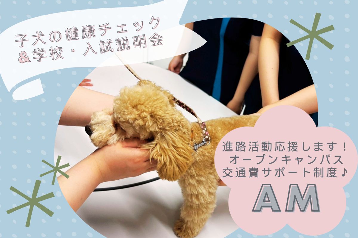 横浜動物専門学校のcampusgallery