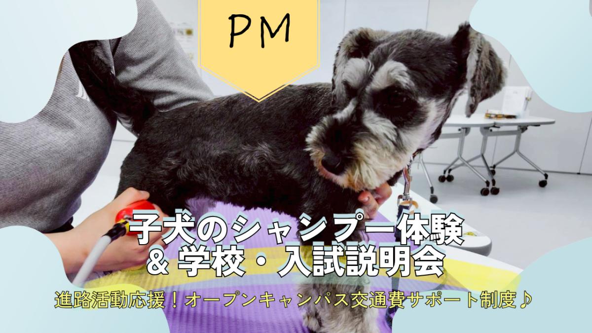 横浜動物専門学校のオープンキャンパス
