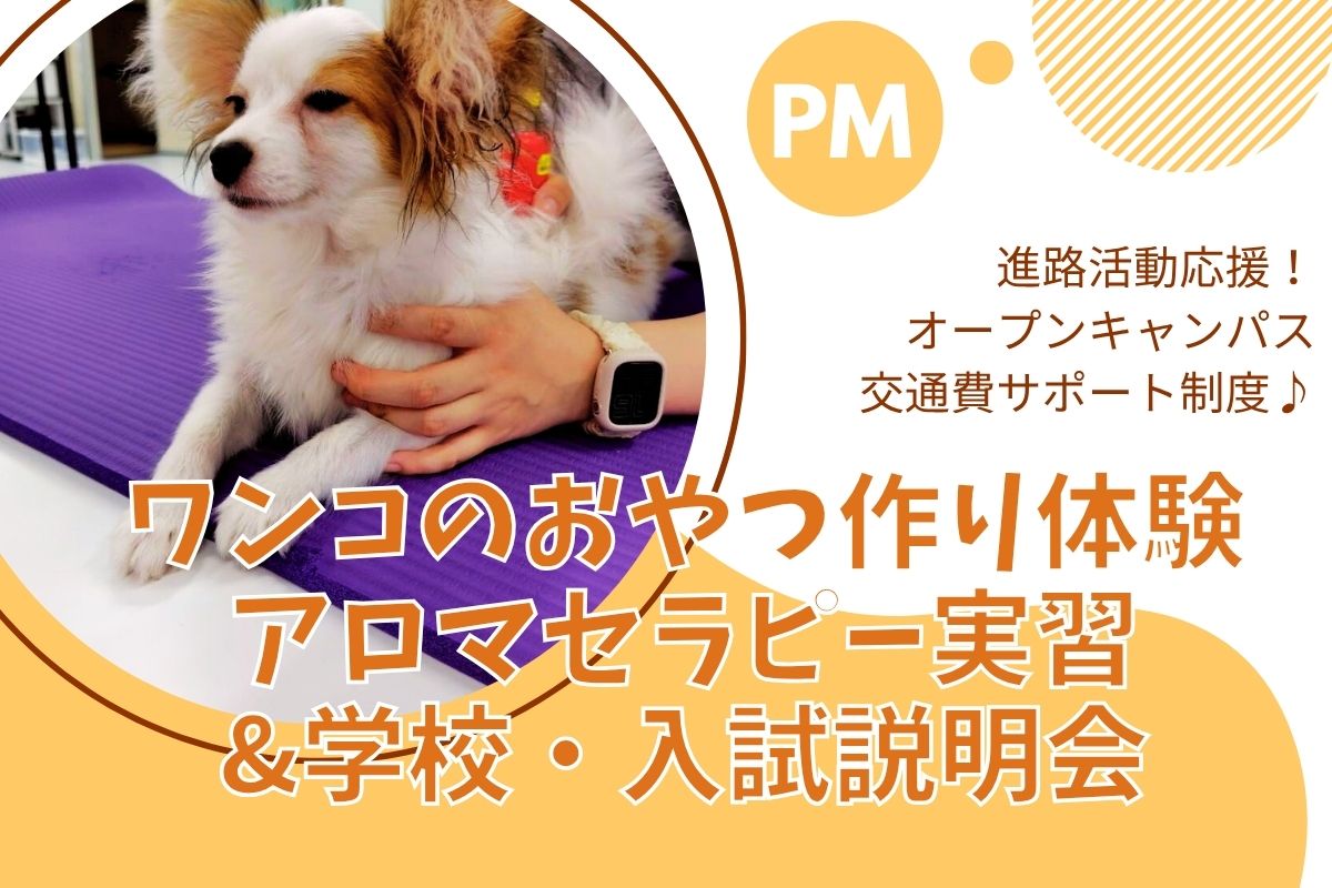 横浜動物専門学校のcampusgallery