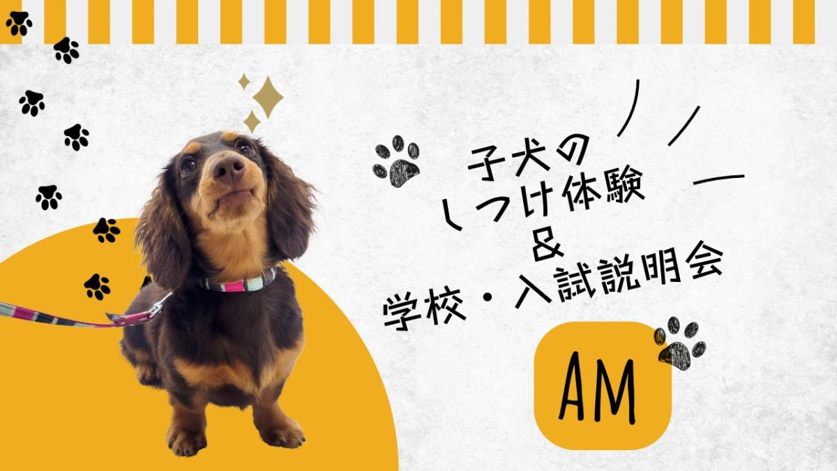 横浜動物専門学校のcampusgallery