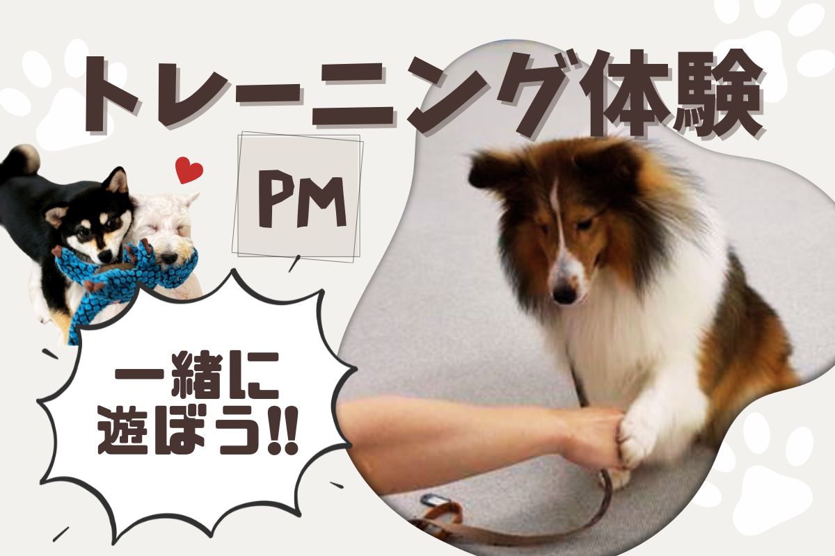 横浜動物専門学校のオープンキャンパス