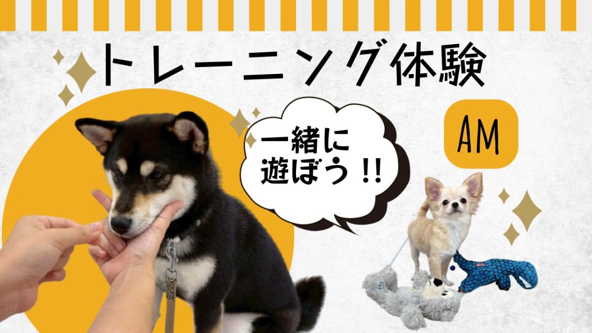 横浜動物専門学校のcampusgallery