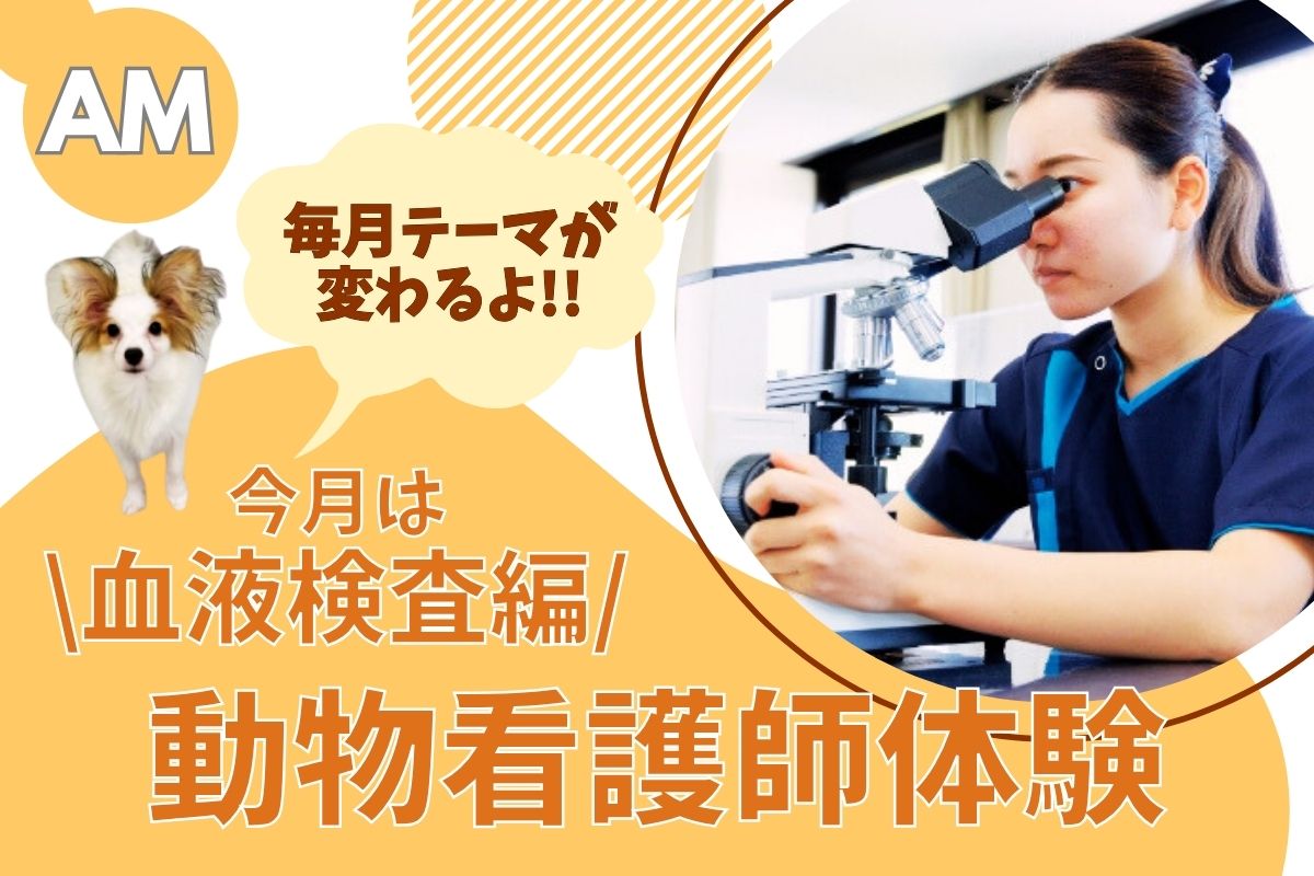 横浜動物専門学校のオープンキャンパス