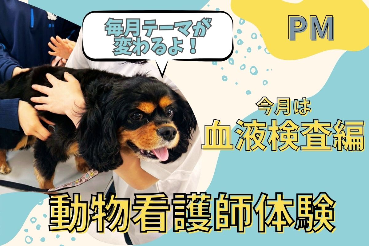 横浜動物専門学校のオープンキャンパス