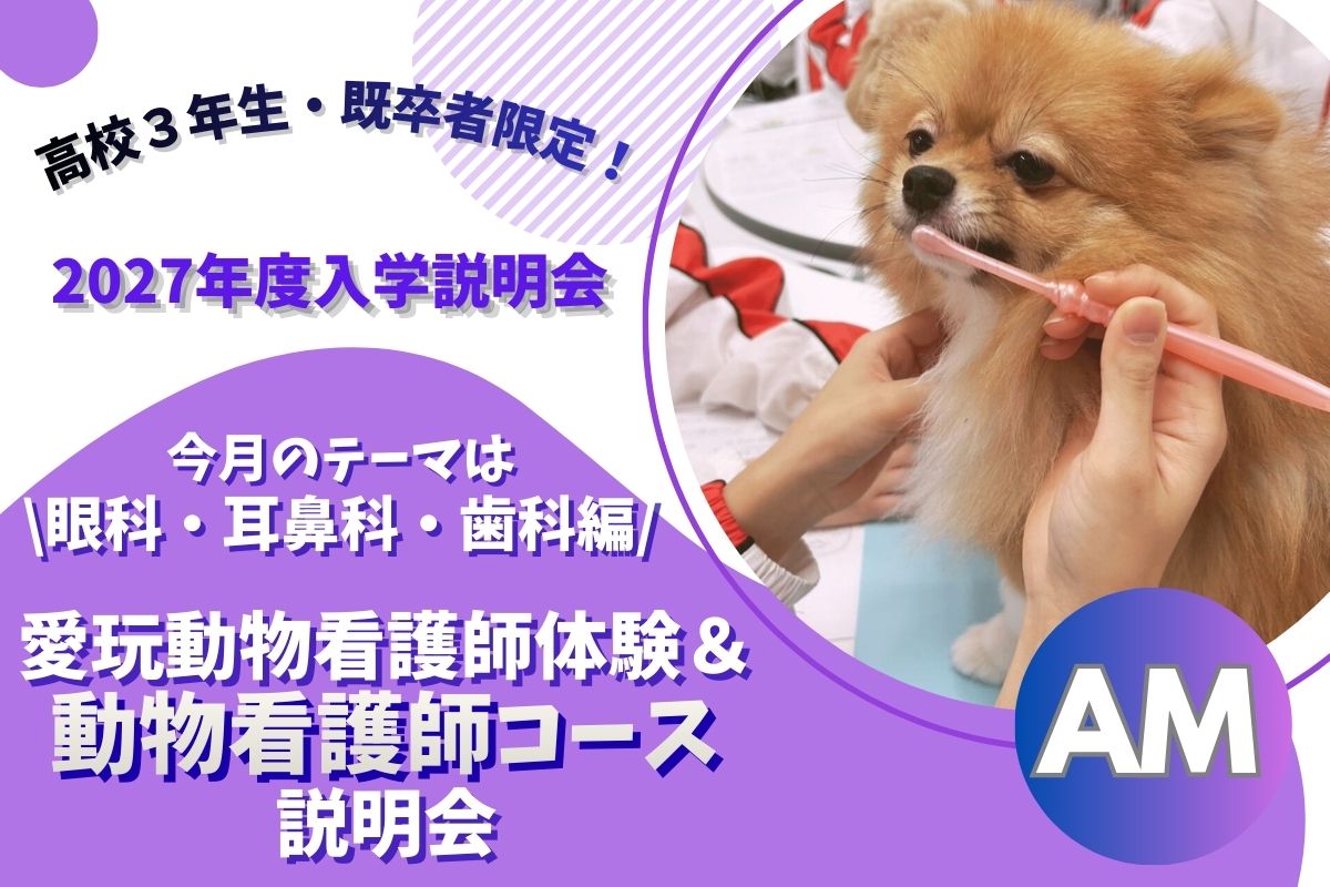 横浜動物専門学校のオープンキャンパス