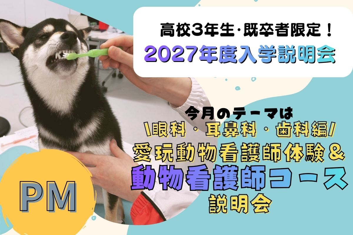 横浜動物専門学校のオープンキャンパス