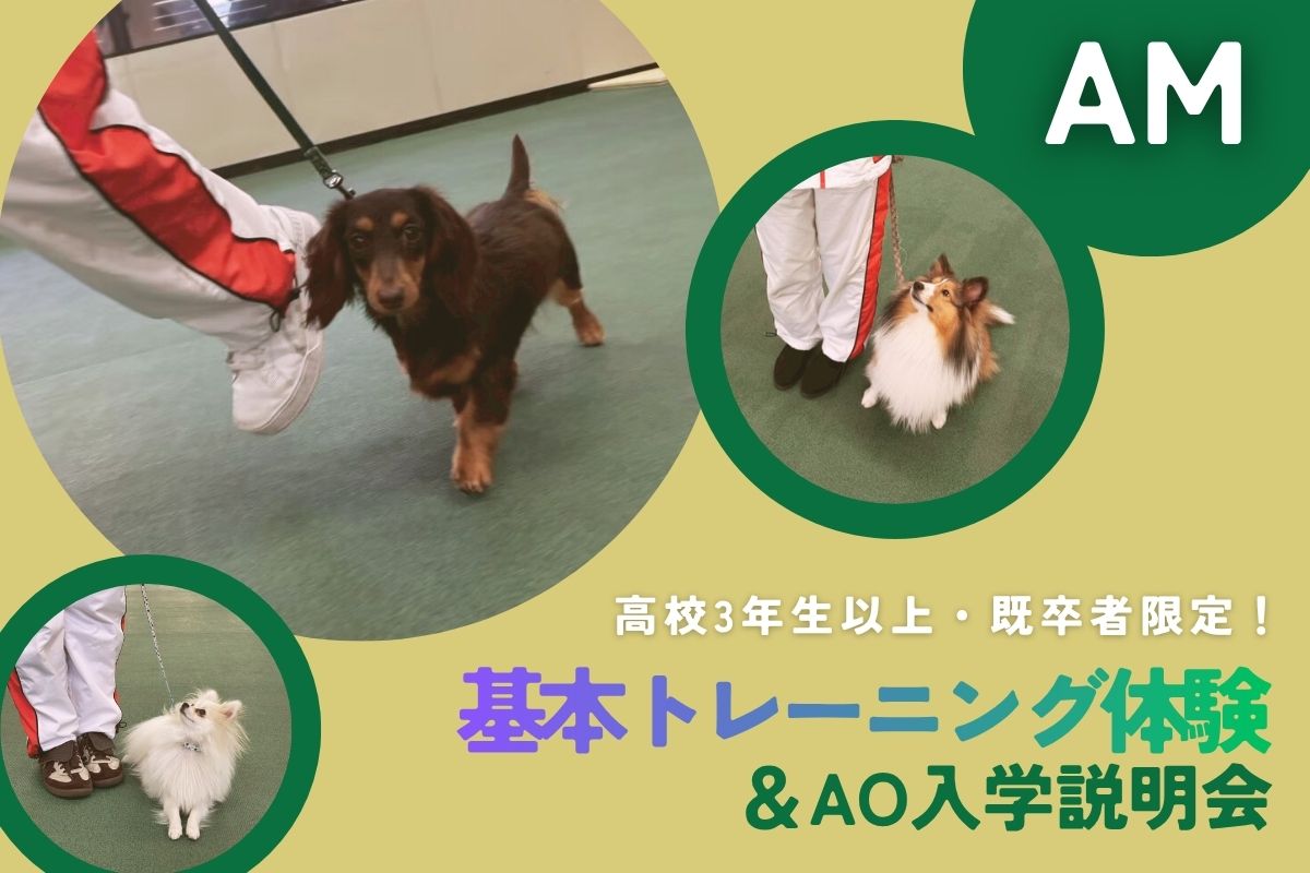 横浜動物専門学校のcampusgallery