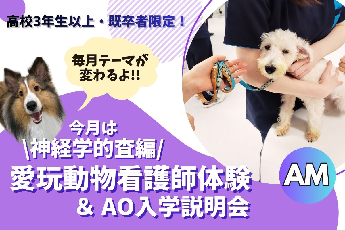 横浜動物専門学校のcampusgallery