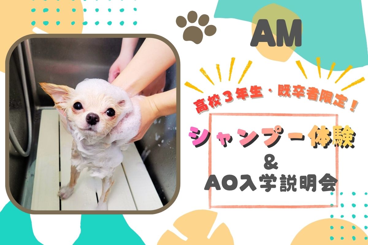 横浜動物専門学校のcampusgallery