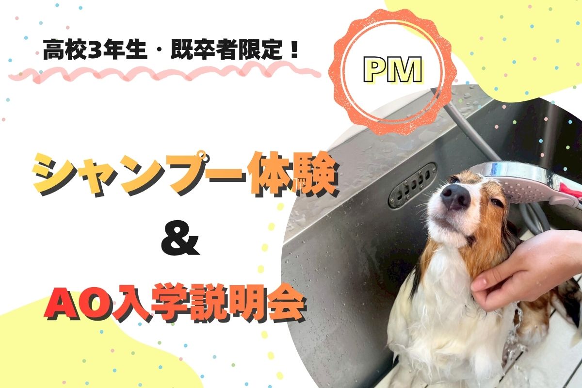 横浜動物専門学校のcampusgallery