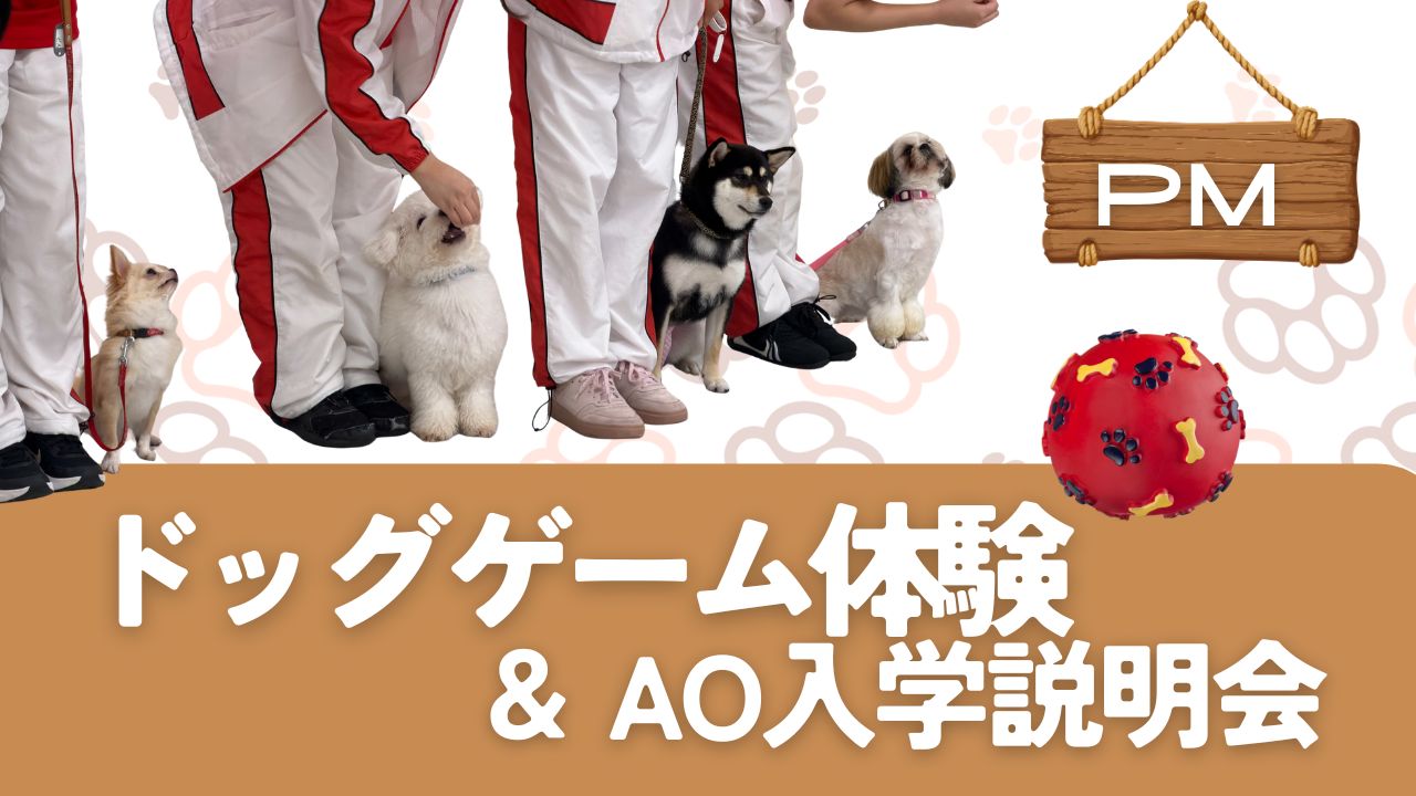 横浜動物専門学校のcampusgallery