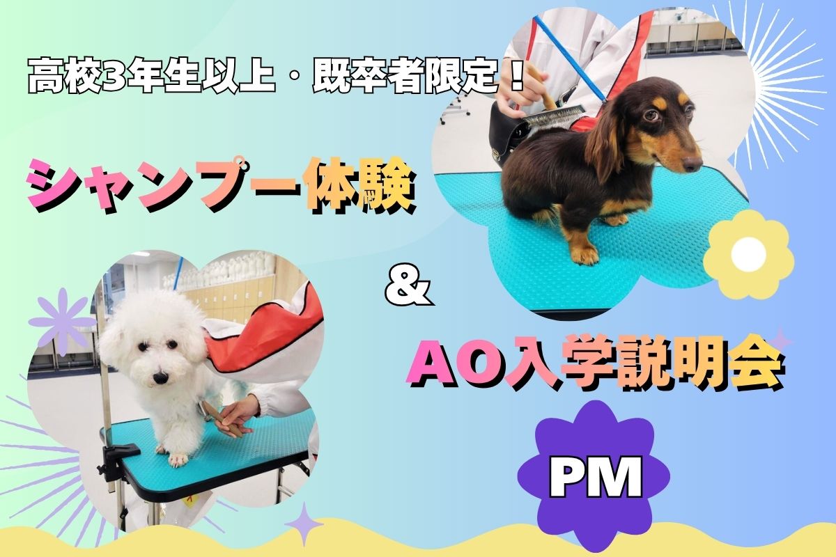 横浜動物専門学校のcampusgallery