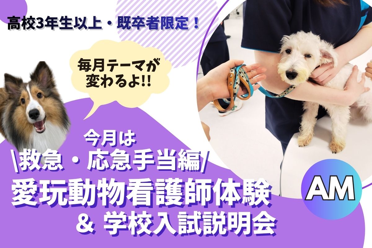 横浜動物専門学校のオープンキャンパス