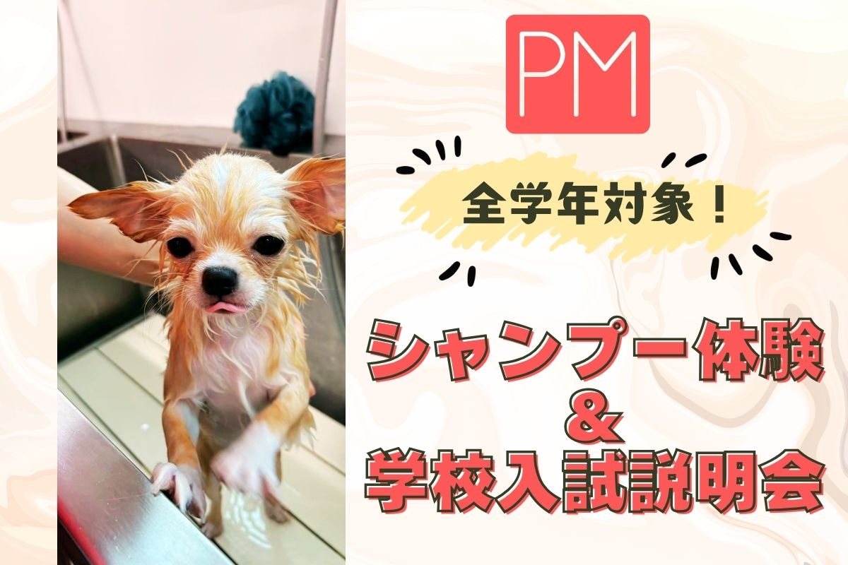 横浜動物専門学校のオープンキャンパス